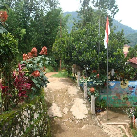 Se'Pon Homestay Makale Ngoại thất bức ảnh